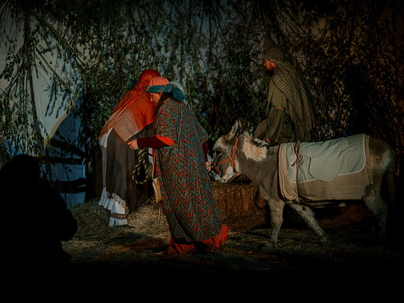 nativity25-23