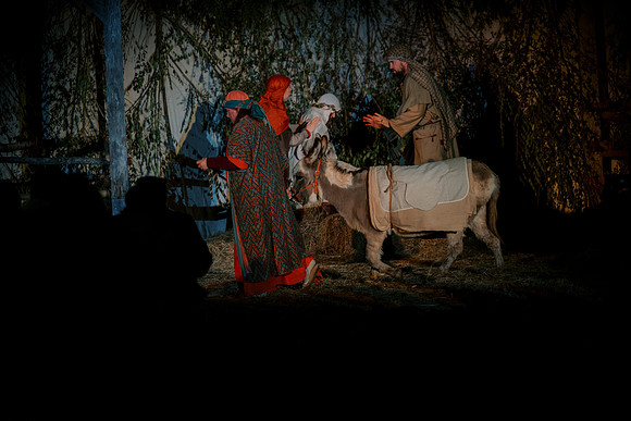 nativity25-24