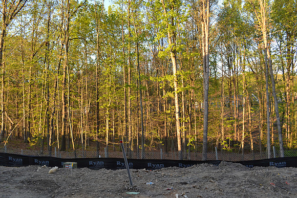 march 2012 058