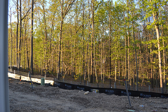 march 2012 059