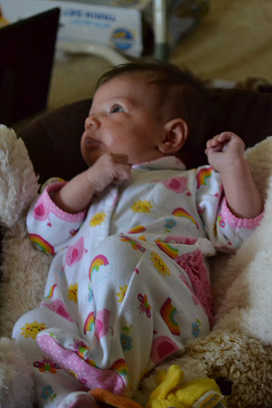 march 2012 062
