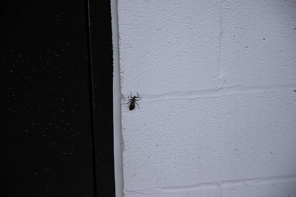 sooc-160